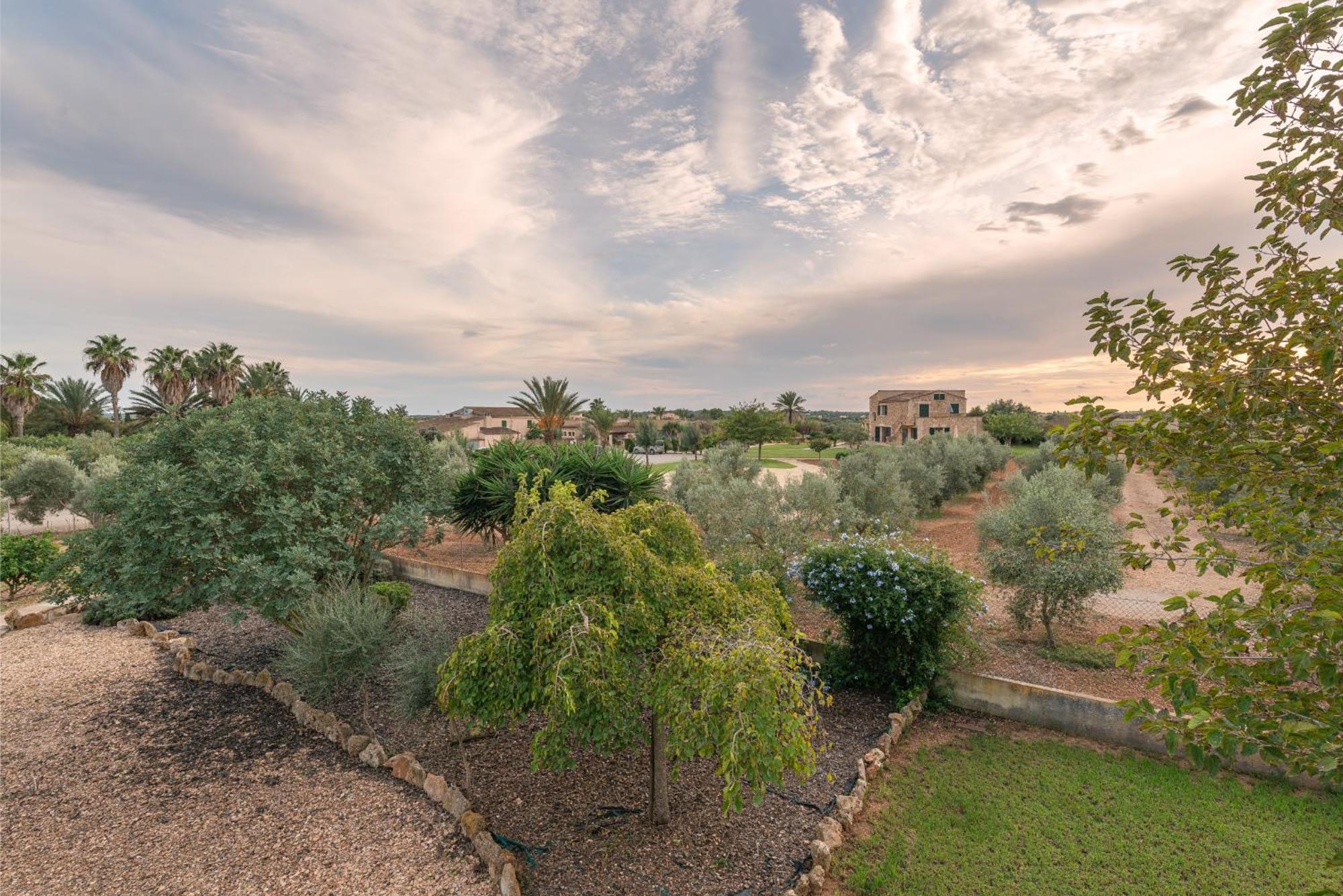 Finca Hotel Can Canals & Spa Campos  Dış mekan fotoğraf